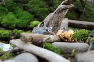 Schleich raccoon in a miniature landscape