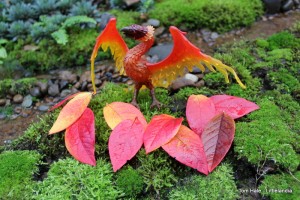 Safari Phoenix with Fall blueberry leaves 1